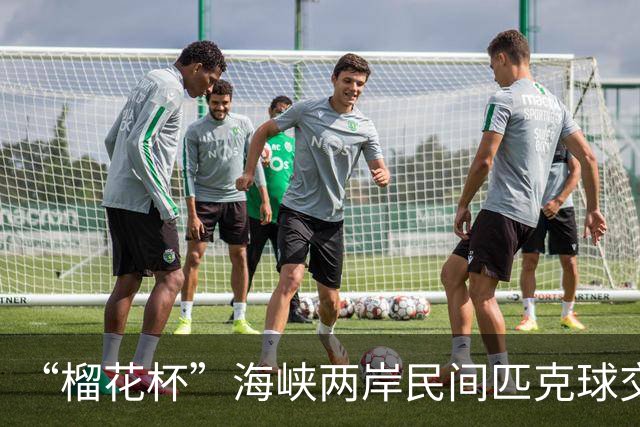 “榴花杯”海峡两岸民间匹克球交流赛在云南省玉溪开赛
