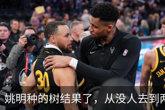 姚明种的树结果了，从没人去到两位数留洋，年轻人治好男篮老毛病