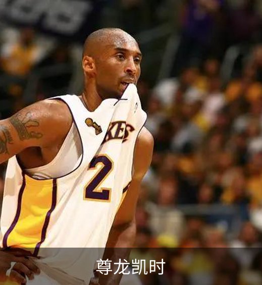 尊龙凯时介绍